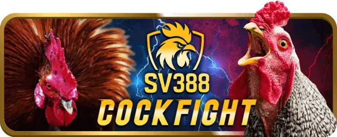 Quà Sinh Nhật VIP